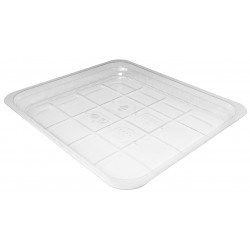 GB25LTH - 230x190x25 mm - Contenitore in APET Trasparente