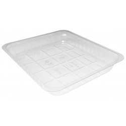 GB35LTH - 230x190x35 mm - Contenitore in APET Trasparente