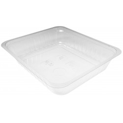 GB50LTH - 230x190x50 mm - Contenitore in APET Trasparente