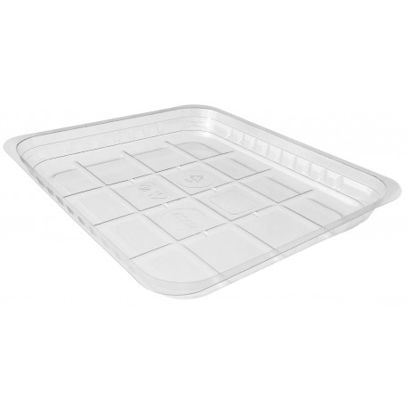 GD25LTH - 230x190x25 mm - Contenitore in PLA Trasparente