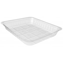 GD35LTH - 230x190x35 mm - Contenitore in PLA Trasparente